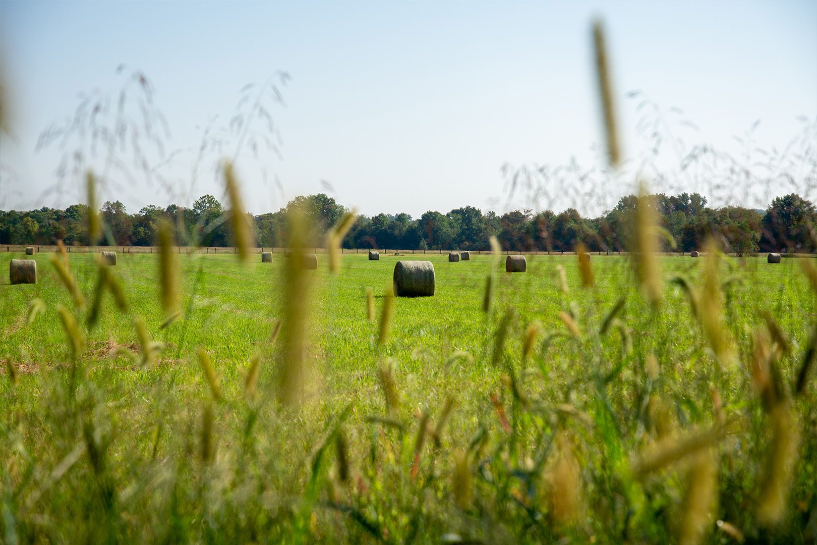 Chaney Cares Gives Back to Local Nonprofits at the 46th Annual Chaney Bull Roast 