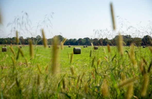 Reclaiming the Land: How Chaney & Silver Companies Are Growing More Than Materials in Woodford, VA